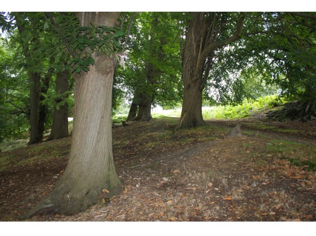 2 Pre-Raphaelites at Knole.002
